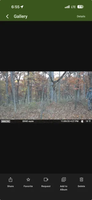 Screenshot 2025-11-09 at 6.55.36 PM.webp