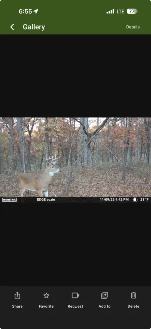 Screenshot 2025-11-09 at 6.55.17 PM.webp