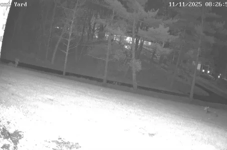 Front Yard_0_live_1762910829417.webp