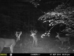 IMG_62880091902817.jpeg
