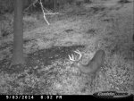 CDY_0040.jpg