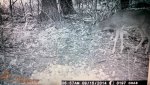 uploadfromtaptalk1411323215290.jpg