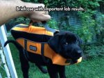 ImageUploadedByTapatalk1411469113.470566.jpg