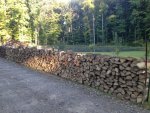 Wood 2.jpg