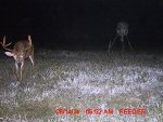 MDGC0082__1411139388_17509.jpg