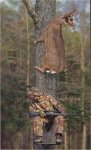 Deer stand1.jpg