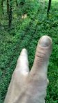 uploadfromtaptalk1411952198383.jpg