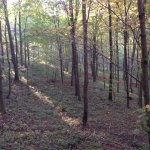 IMG_0726.jpg