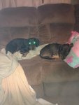 Buddy and Chance.jpg