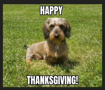 Screenshot_20251126-205013_Meme Generator.webp