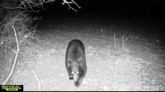 Screenshot_20251214_194334_Samsung Internet.webp