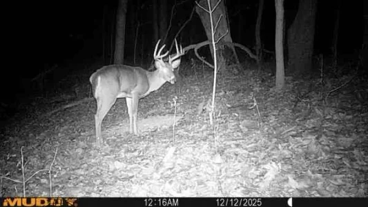 YC4VPuR - Imgur.webp