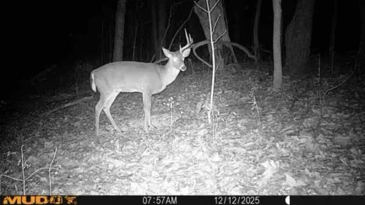 SBC6A79 - Imgur.webp