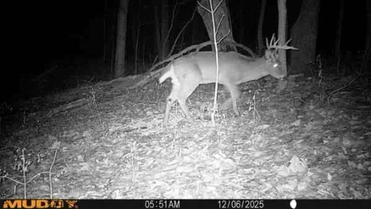 d84BVBM - Imgur.webp