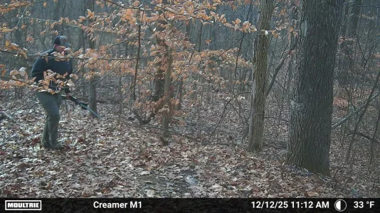 RrkoXEX - Imgur.webp