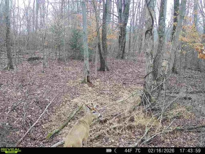 860516060271891-100-4-02162026174358-V-W1002602 (1).webp