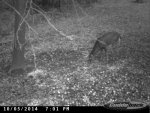 CDY_0020.jpg