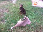 ImageUploadedByTapatalk1413655709.909663.jpg