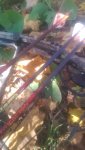 uploadfromtaptalk1414207669270.jpg