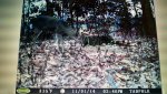 uploadfromtaptalk1414978605242.jpg