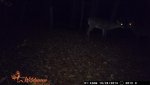 ldr_stand_10-2515.jpg