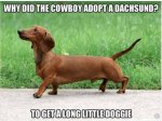 ImageUploadedByTapatalk1415070181.986106.jpg