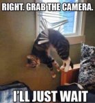 ImageUploadedByTapatalk1415070295.351959.jpg