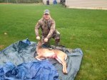 deer.jpg