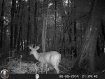 HUNT0250.jpg