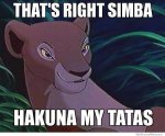 simba.jpg