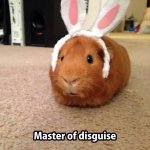 ImageUploadedByTapatalk1419039604.966203.jpg