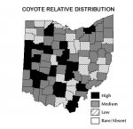 coyote_map.jpg