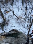 ImageUploadedByTapatalk1420730382.521084.jpg ImageUploadedByTapatalk1420730382.521084.jpg