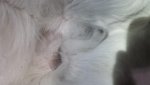 20150110_192636.jpg