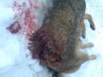IMG_20150116_153957.jpg