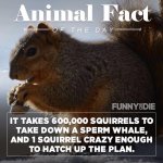 ImageUploadedByTapatalk1421600224.835573.jpg