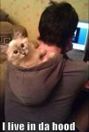 ImageUploadedByTapatalk1421600249.436867.jpg