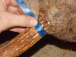 DSCN0991.jpg