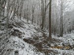 IMG_1904.jpg