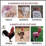 ImageUploadedByTapatalk1422402143.459835.jpg