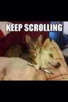 ImageUploadedByTapatalk1422502851.244726.jpg
