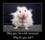 ImageUploadedByTapatalk1422671830.064344.jpg
