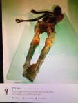 ImageUploadedByTapatalk1423142226.908569.jpg