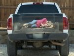 tailgate decal.jpg