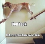 ImageUploadedByTapatalk1424133111.076031.jpg