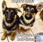 ImageUploadedByTapatalk1424133587.649578.jpg