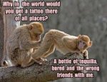 ImageUploadedByTapatalk1424220231.394681.jpg