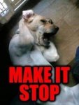 ImageUploadedByTapatalk1425092274.881812.jpg