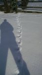 uploadfromtaptalk1425331024334.jpg