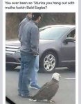 ImageUploadedByTapatalk1425433261.215856.jpg